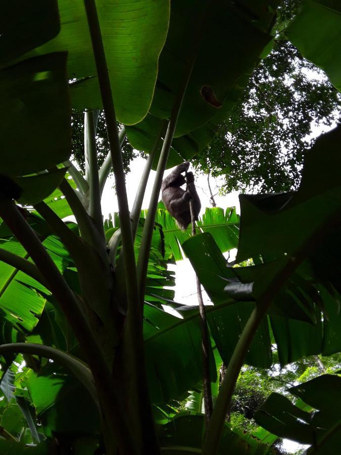 El Toucan Loco Floating Lodges Tierra Oscura 外观 照片